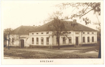 Brezany89