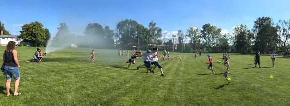 IMG 2118