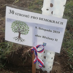 30 stromů pro demokracii 9.11.2019
