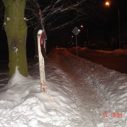 Sněhová kalamita v obci 9. - 11.1. 2010